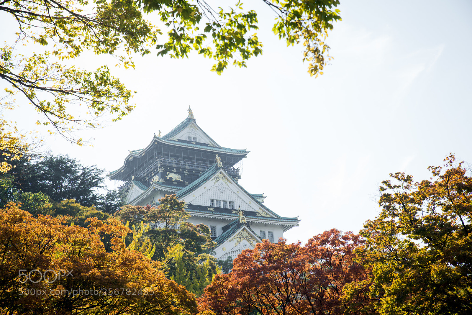 Nikon D610 sample photo. Osaka castle imperial palace photography