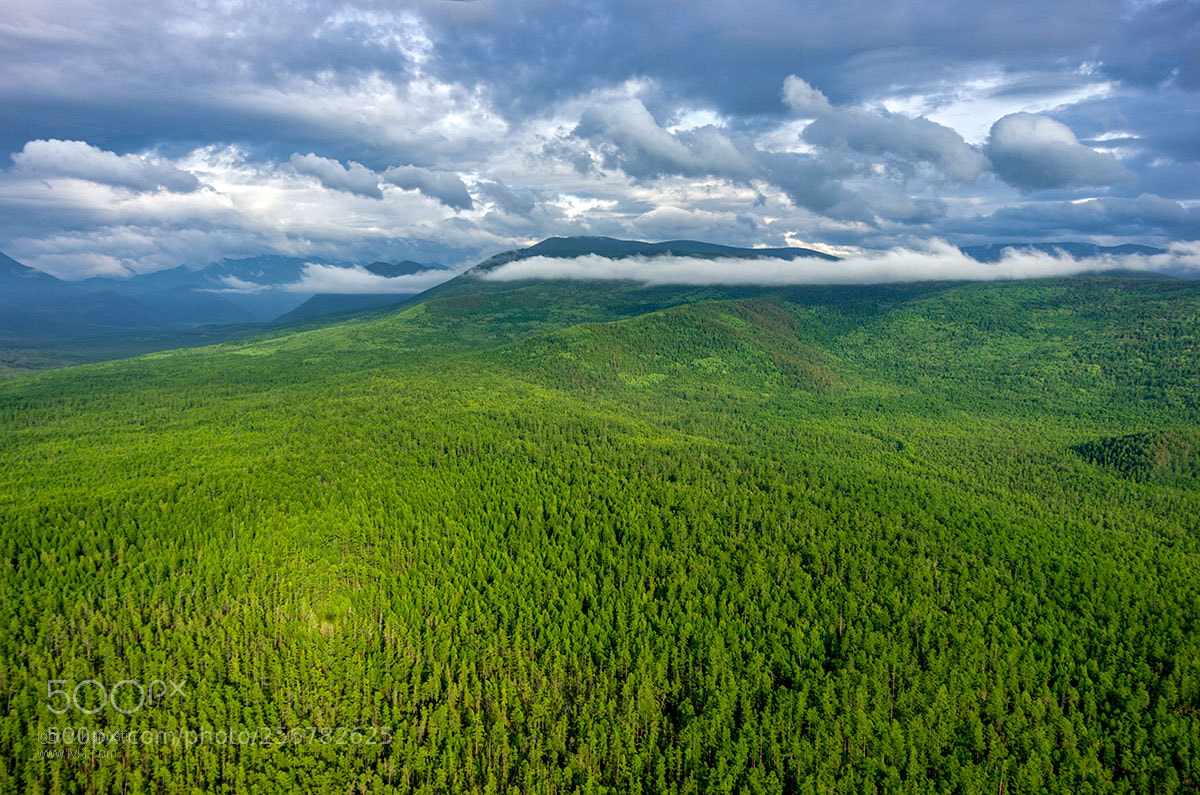 Pentax K-5 sample photo. Ivk_1916-11.jpg photography