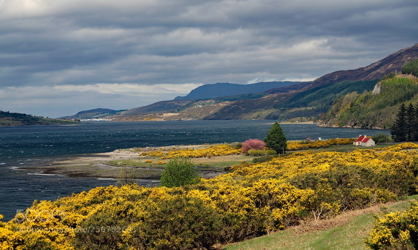 Sony a7 sample photo. Loch broom, ardcarnich, scottish photography
