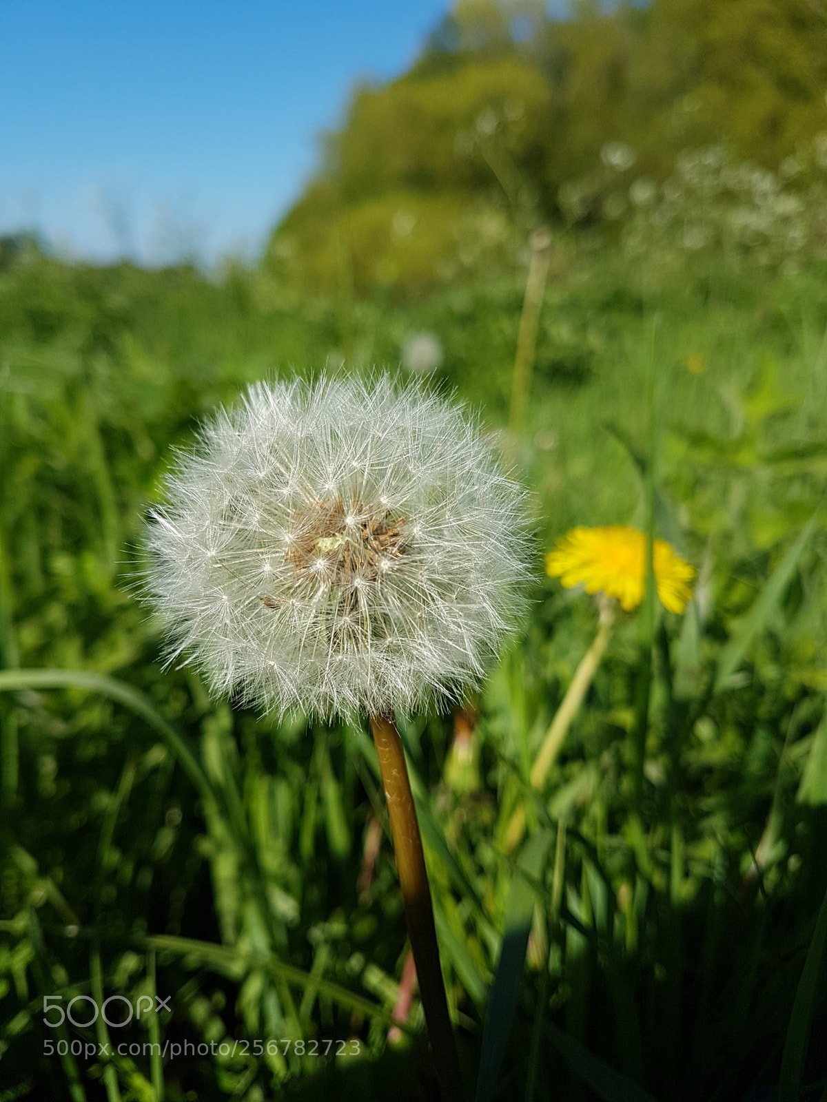 Samsung Galaxy S7 sample photo. Untitled photography