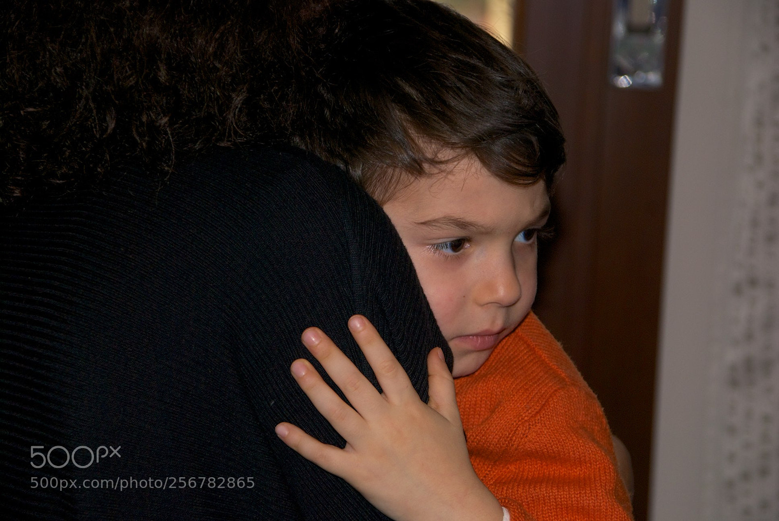 Nikon D60 sample photo. Version photography