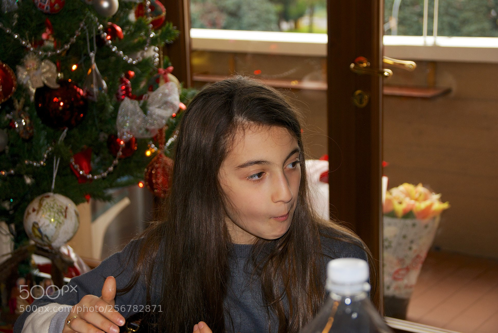 Nikon D60 sample photo. Version photography