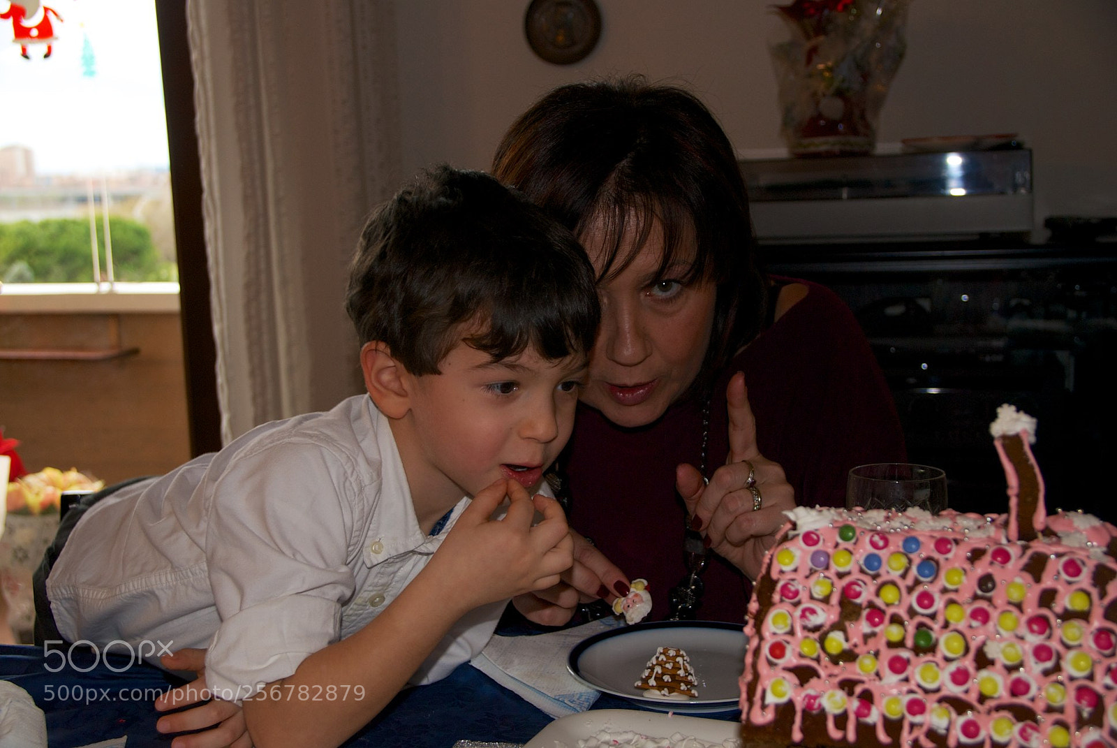 Nikon D60 sample photo. Version photography
