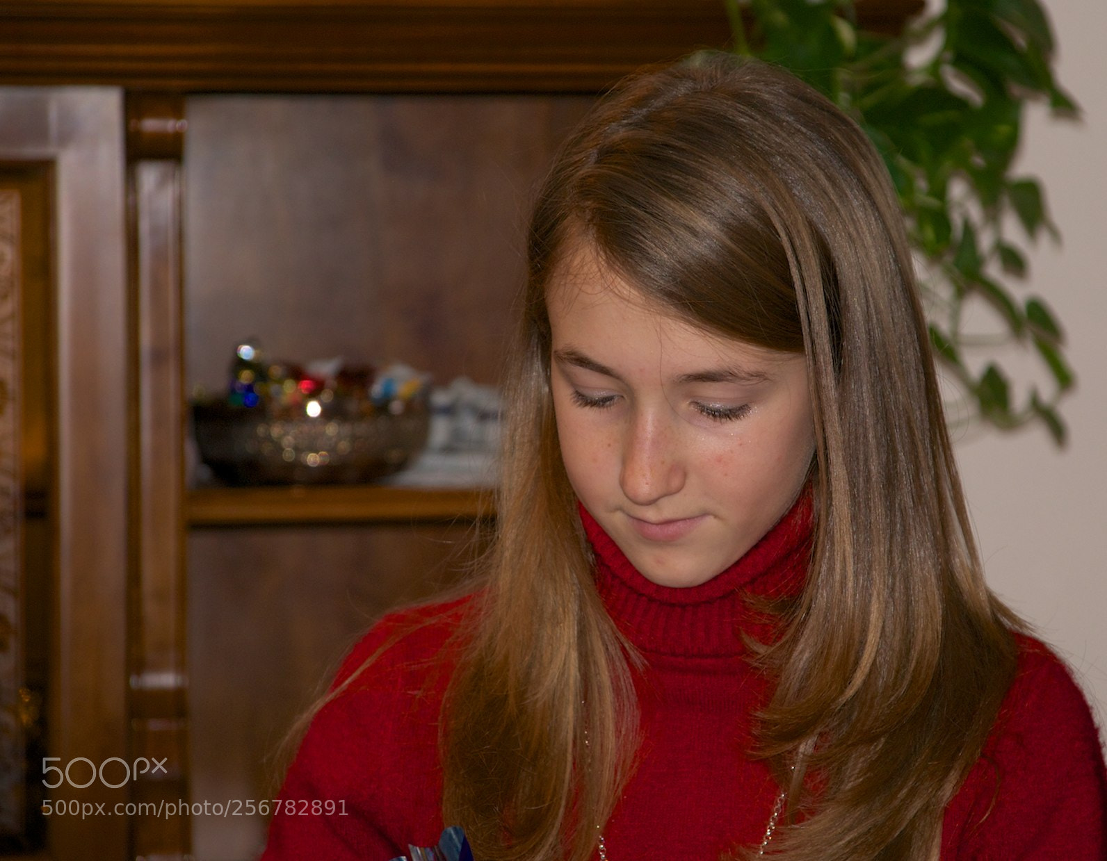 Nikon D60 sample photo. Version photography