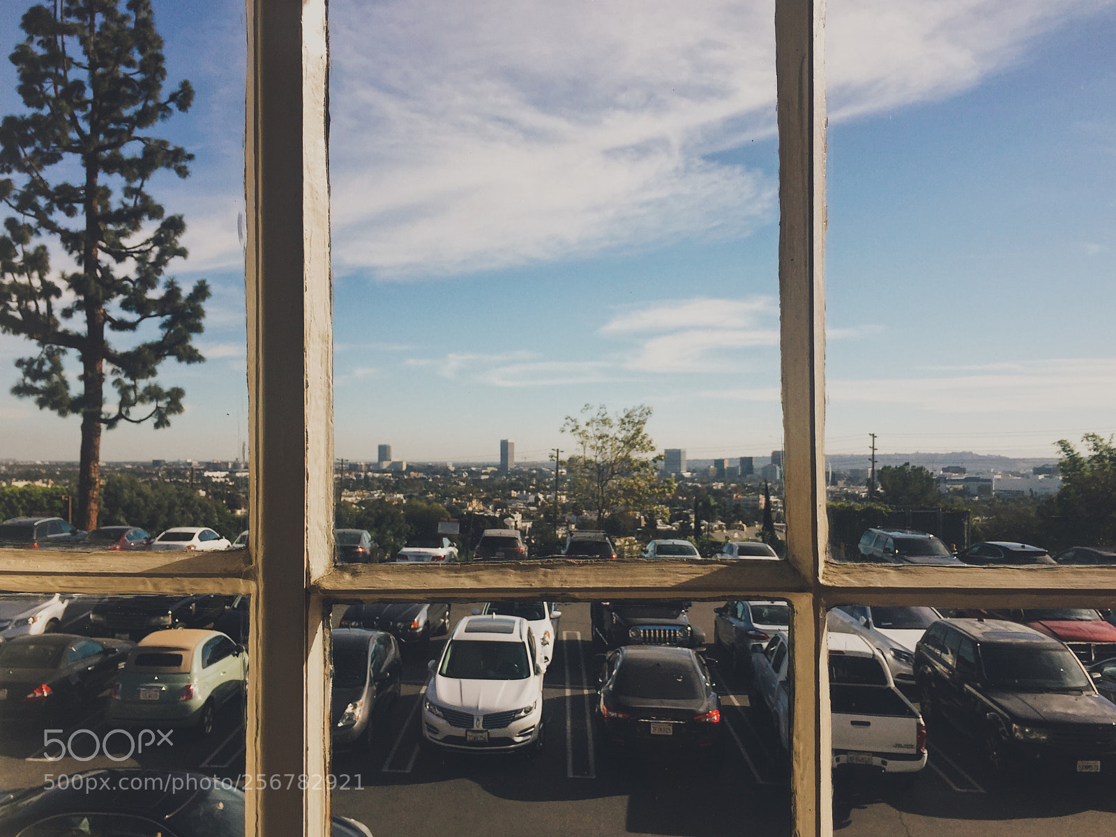 Apple iPhone 6 sample photo. Dream office photography