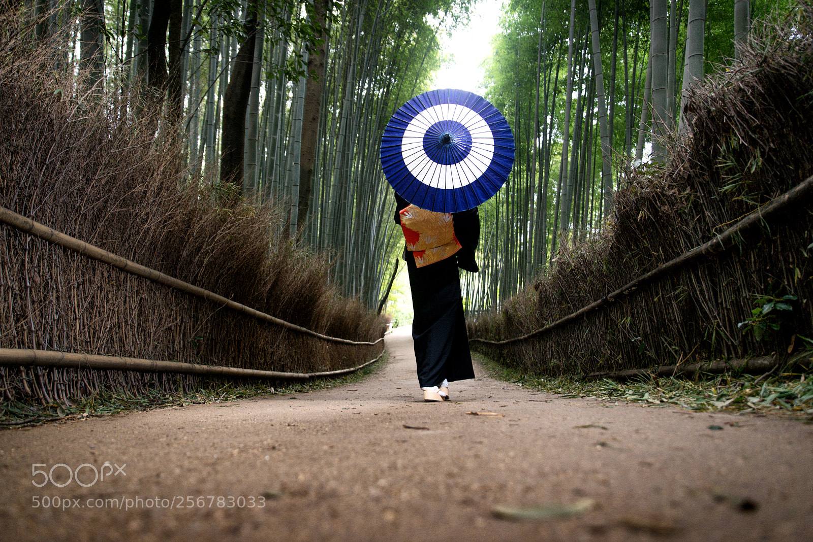 Nikon D610 sample photo. Japanese woman with kimono photography