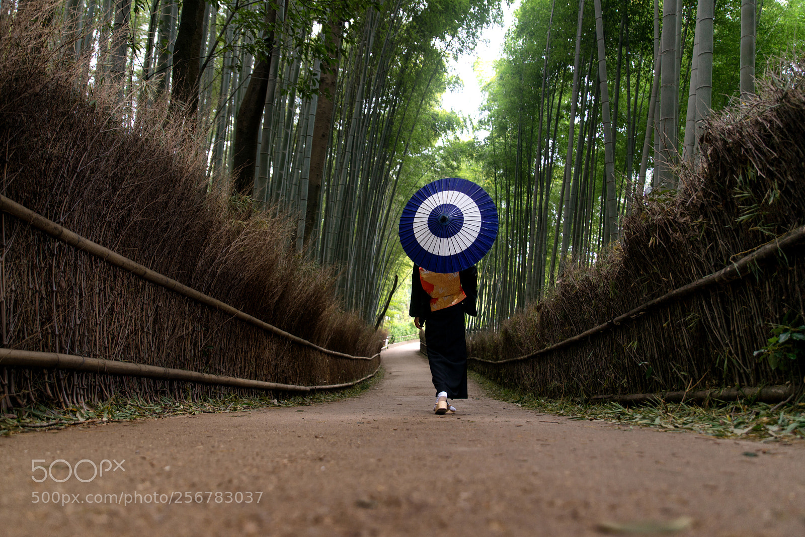 Nikon D610 sample photo. Japanese woman with kimono photography