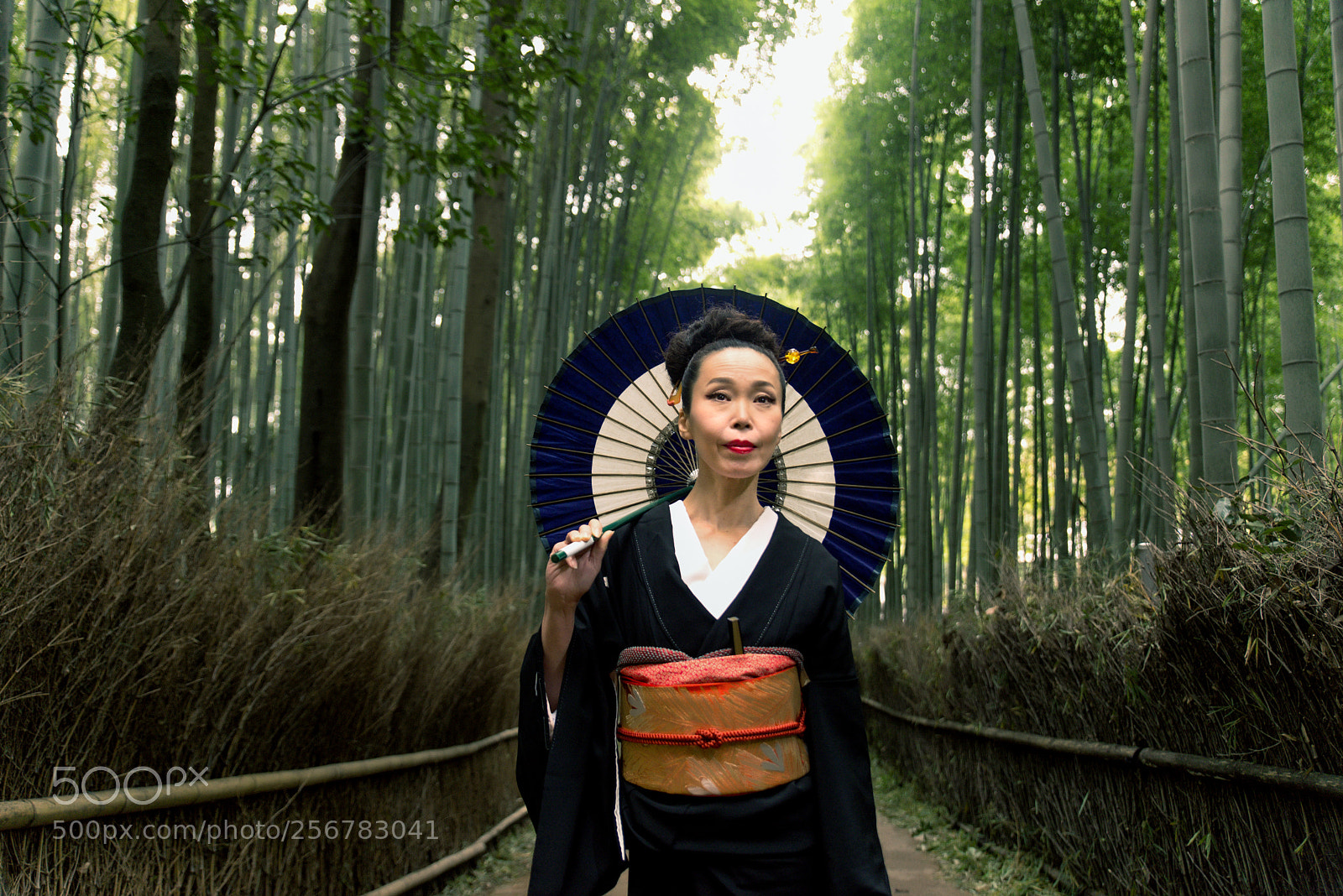 Nikon D610 sample photo. Japanese woman with kimono photography