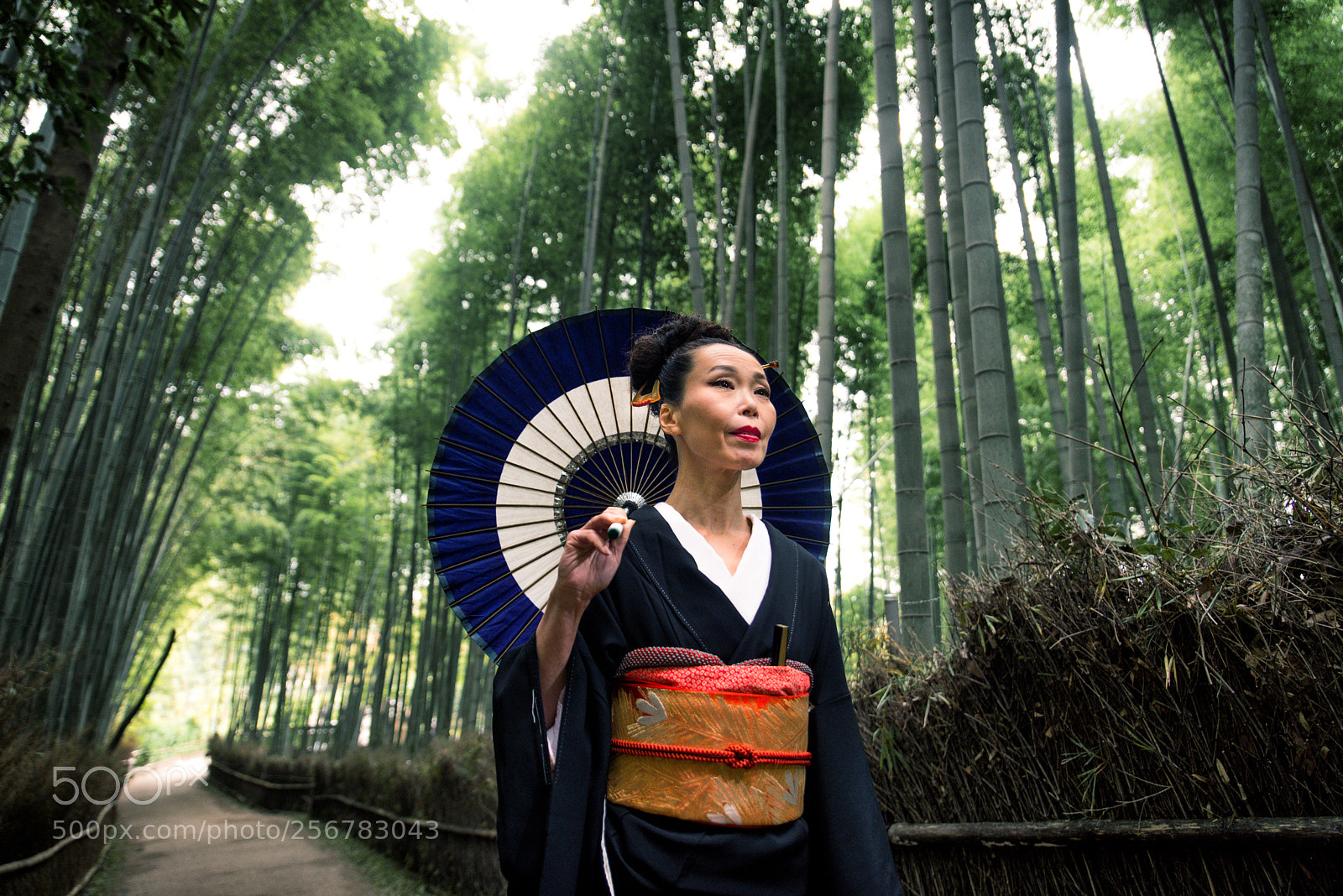 Nikon D610 sample photo. Japanese woman with kimono photography