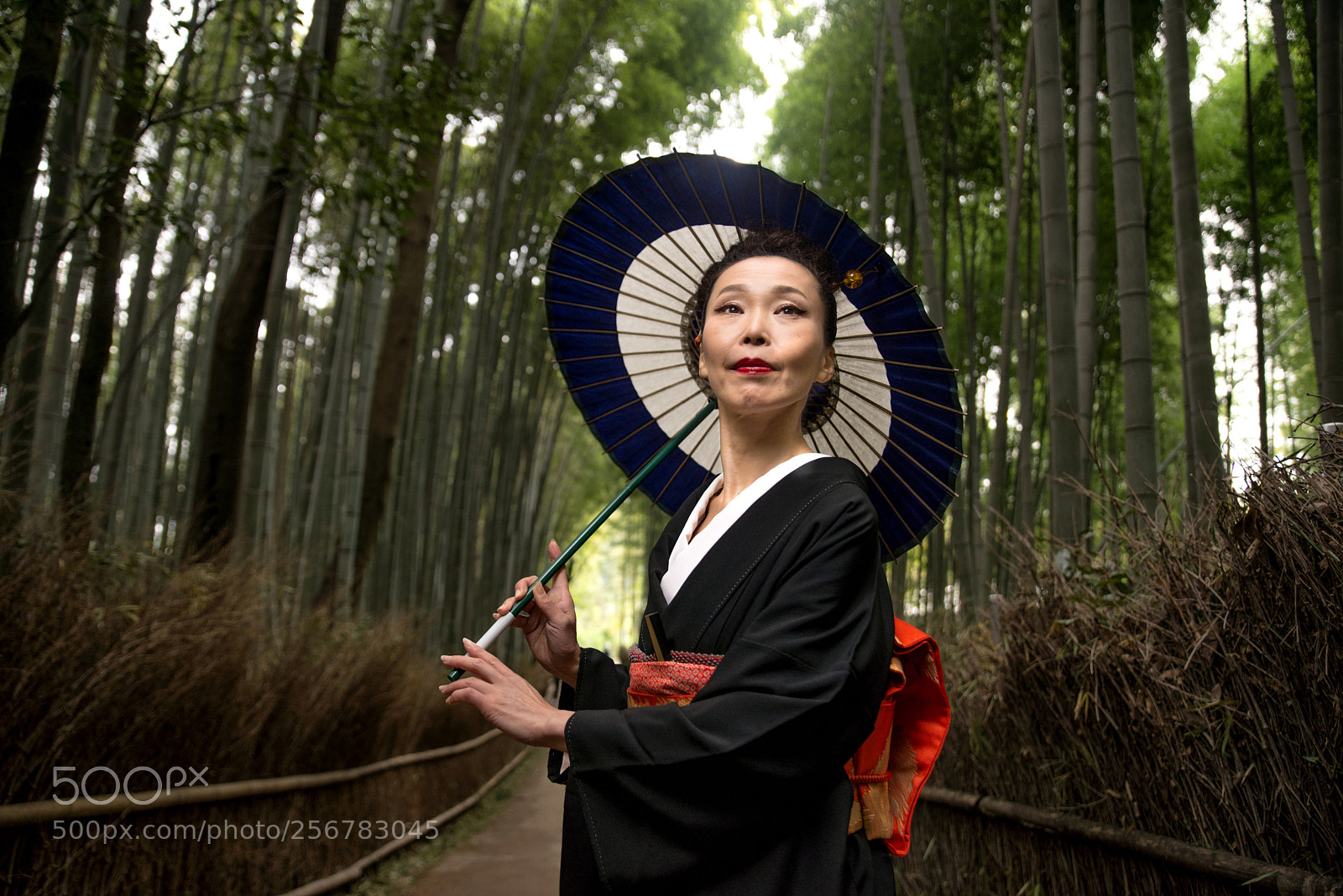 Nikon D610 sample photo. Japanese woman with kimono photography