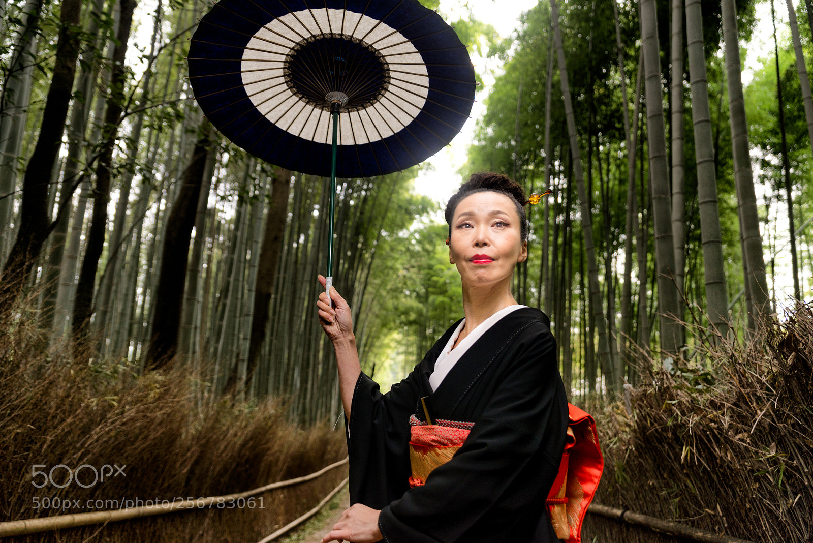 Nikon D610 sample photo. Japanese woman with kimono photography