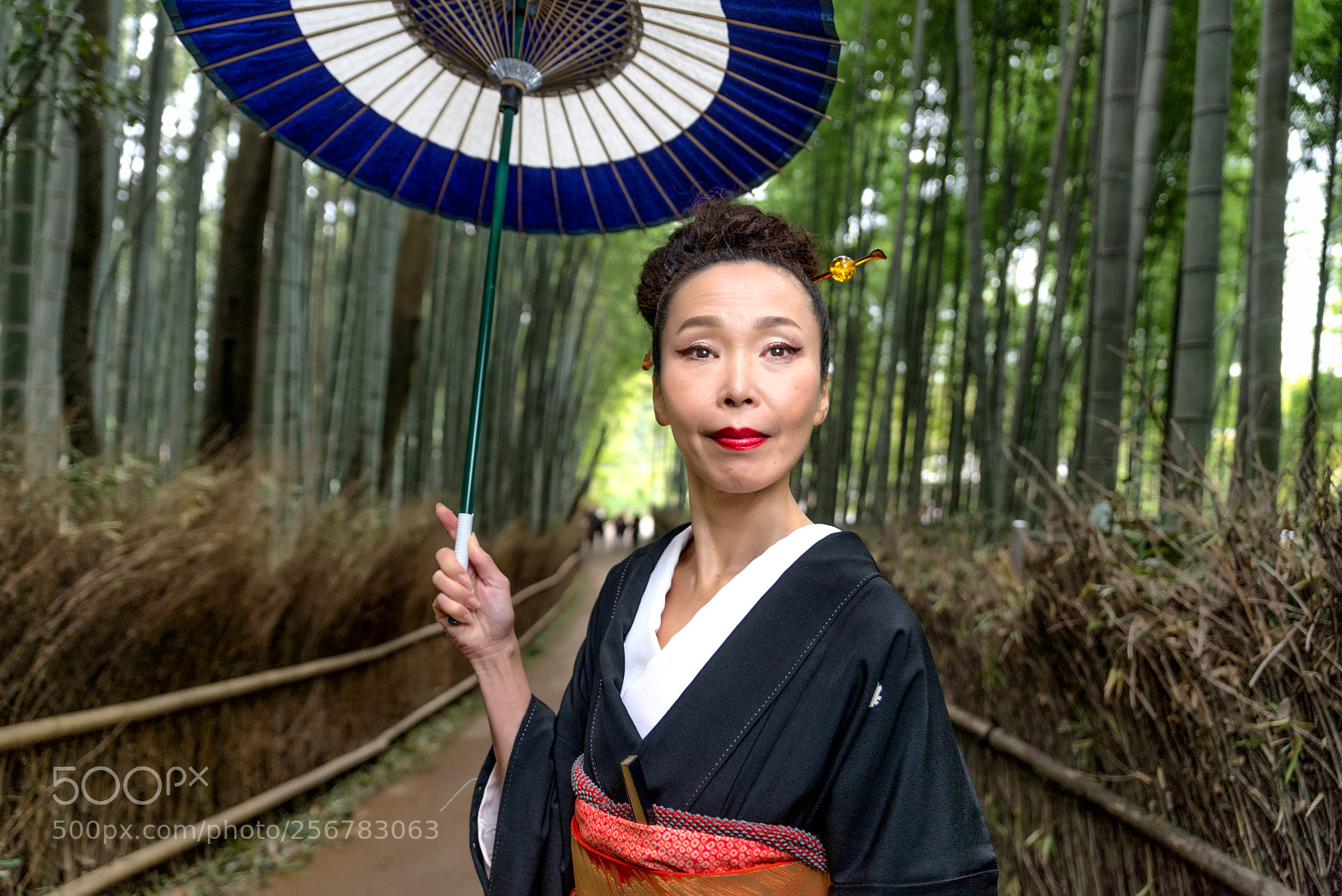 Nikon D610 sample photo. Japanese woman with kimono photography