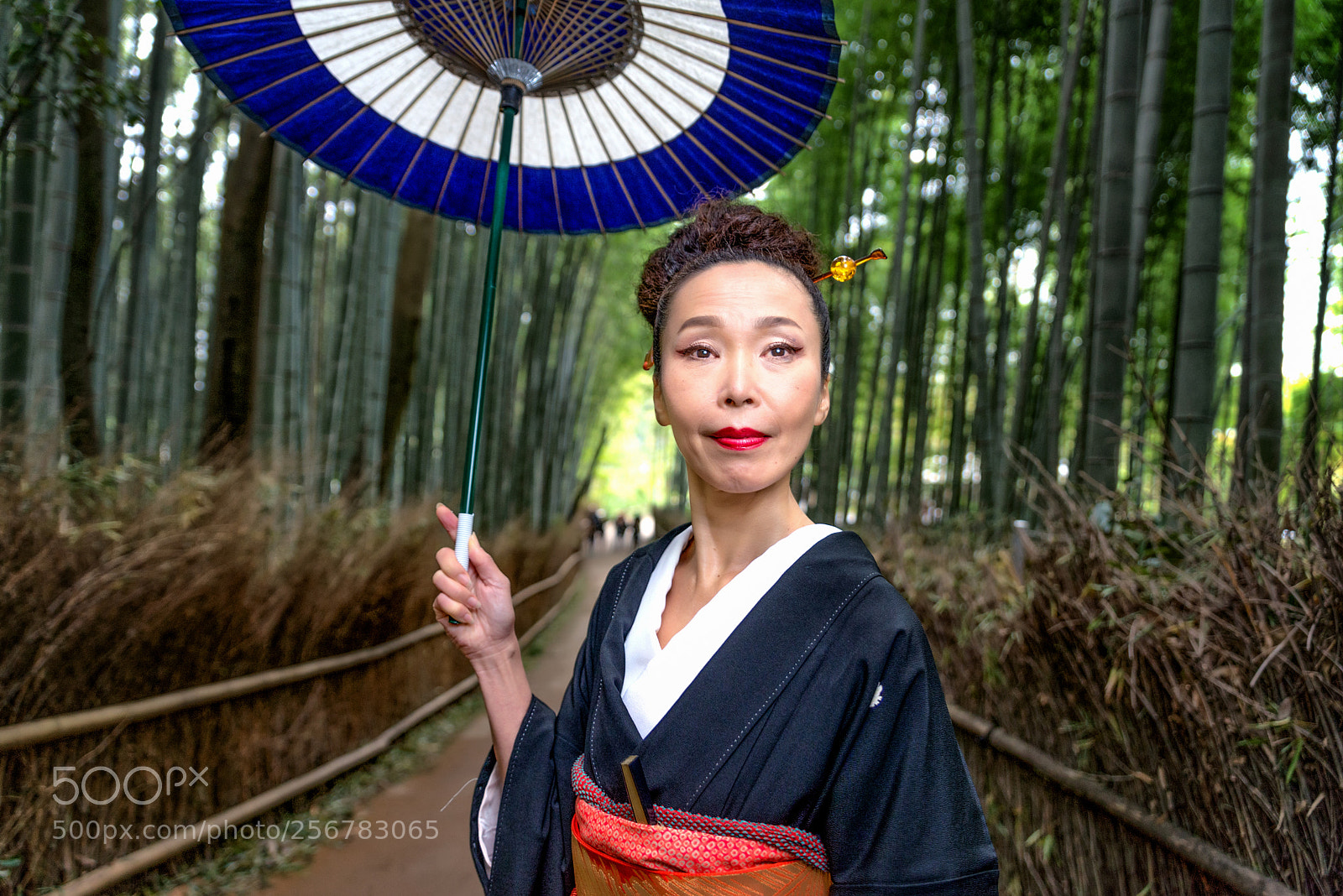 Nikon D610 sample photo. Japanese woman with kimono photography
