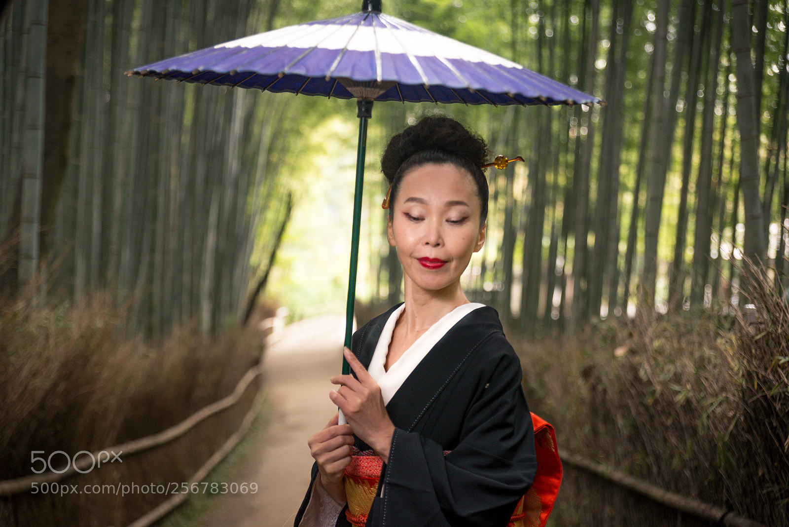 Nikon D610 sample photo. Japanese woman with kimono photography