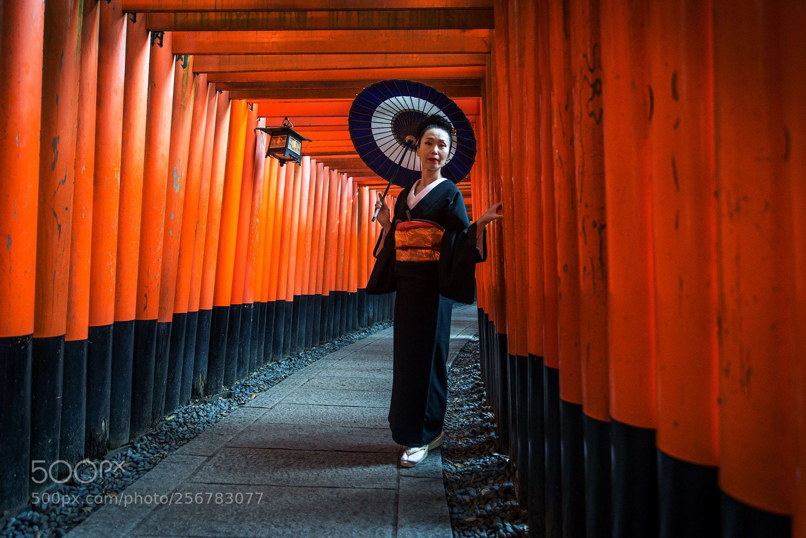 Nikon D610 sample photo. Japanese woman at fushimi photography