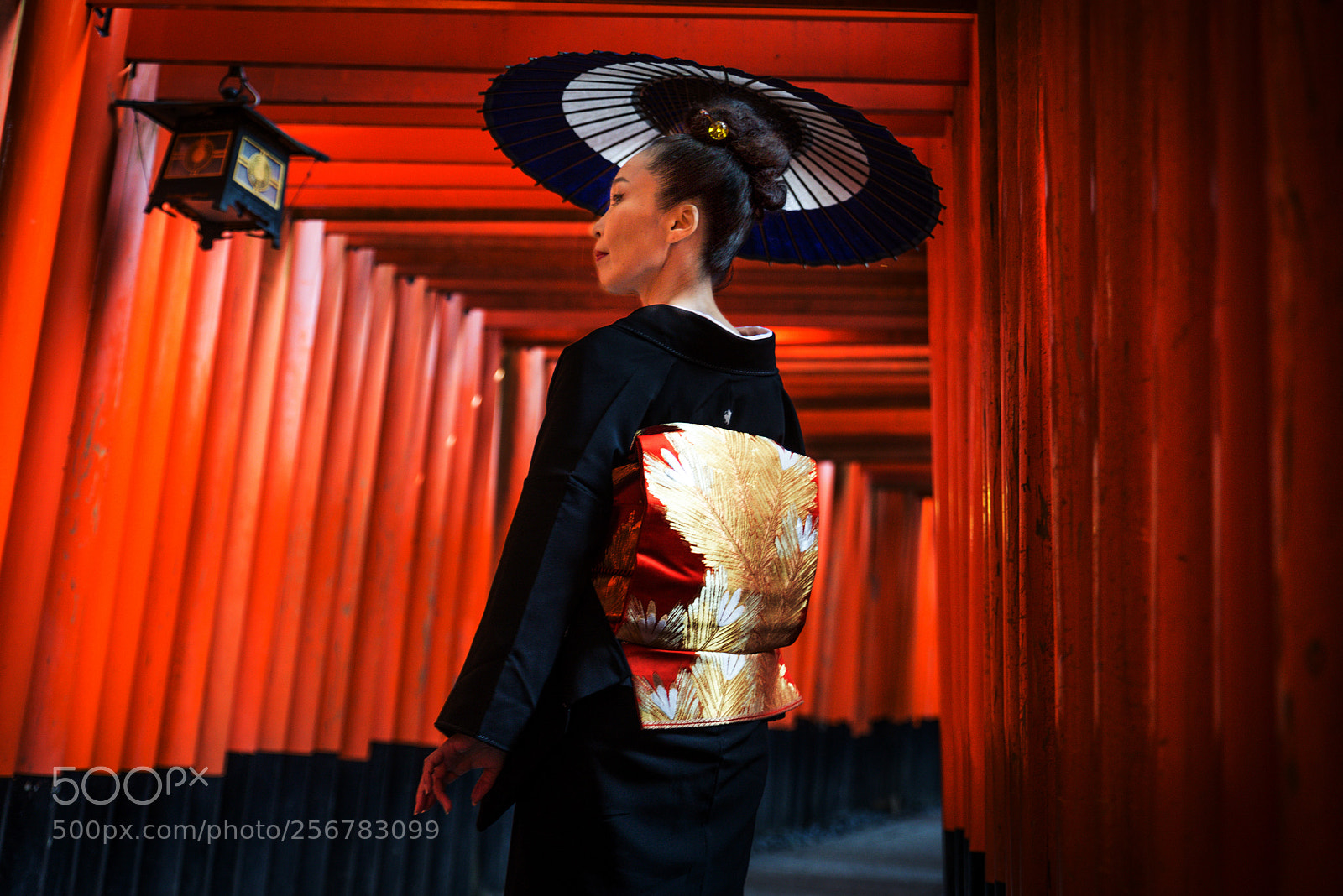 Nikon D610 sample photo. Japanese woman at fushimi photography