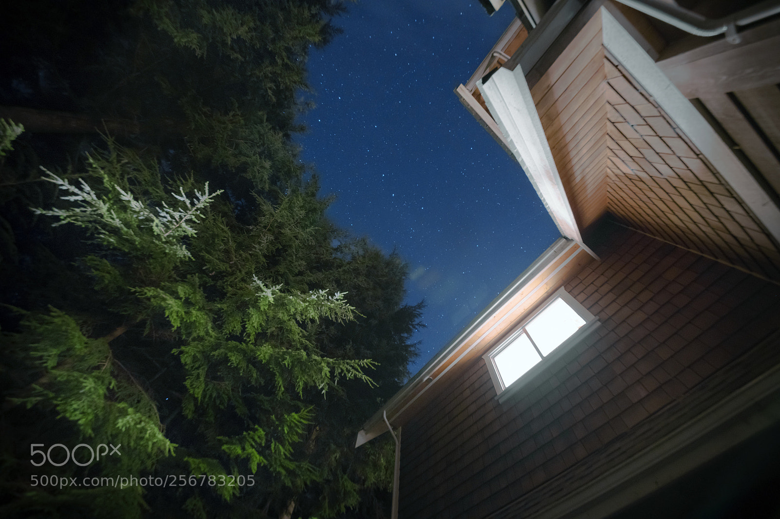 Nikon D850 sample photo. Cabin nights photography