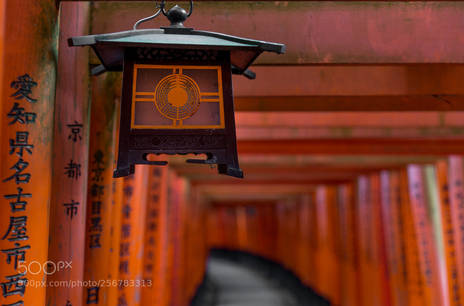 Nikon D610 sample photo. Red torii of fushimi photography