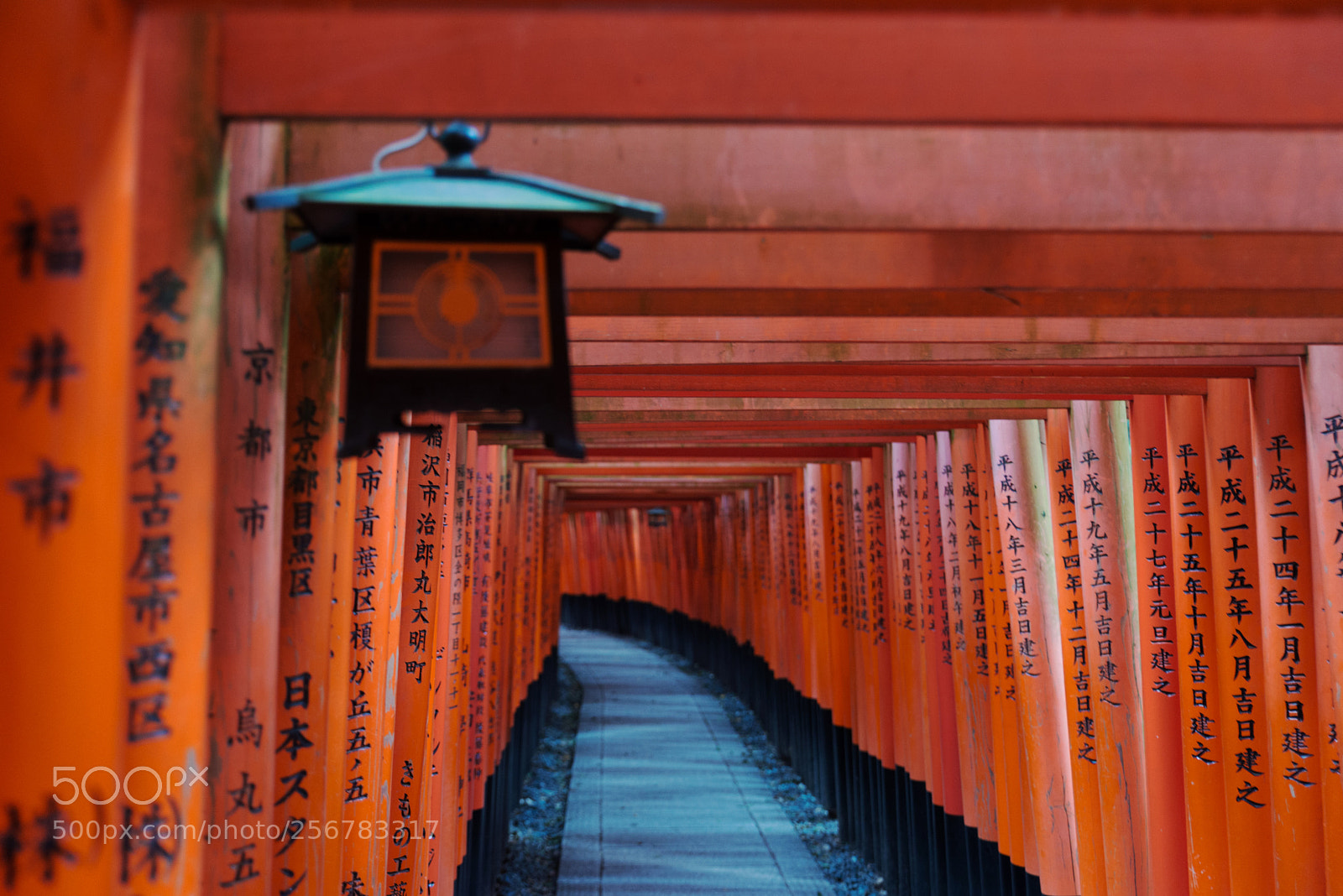 Nikon D610 sample photo. Red torii of fushimi photography