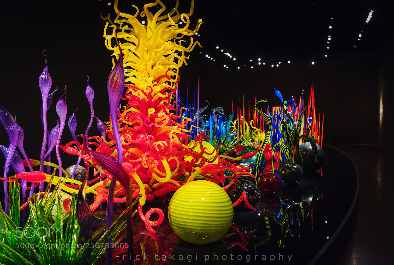 Nikon D5 sample photo. Chihuly garden and glass photography