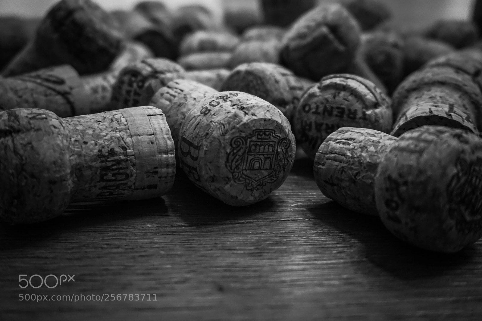 Sony a6000 sample photo. Collezione di ricordi photography