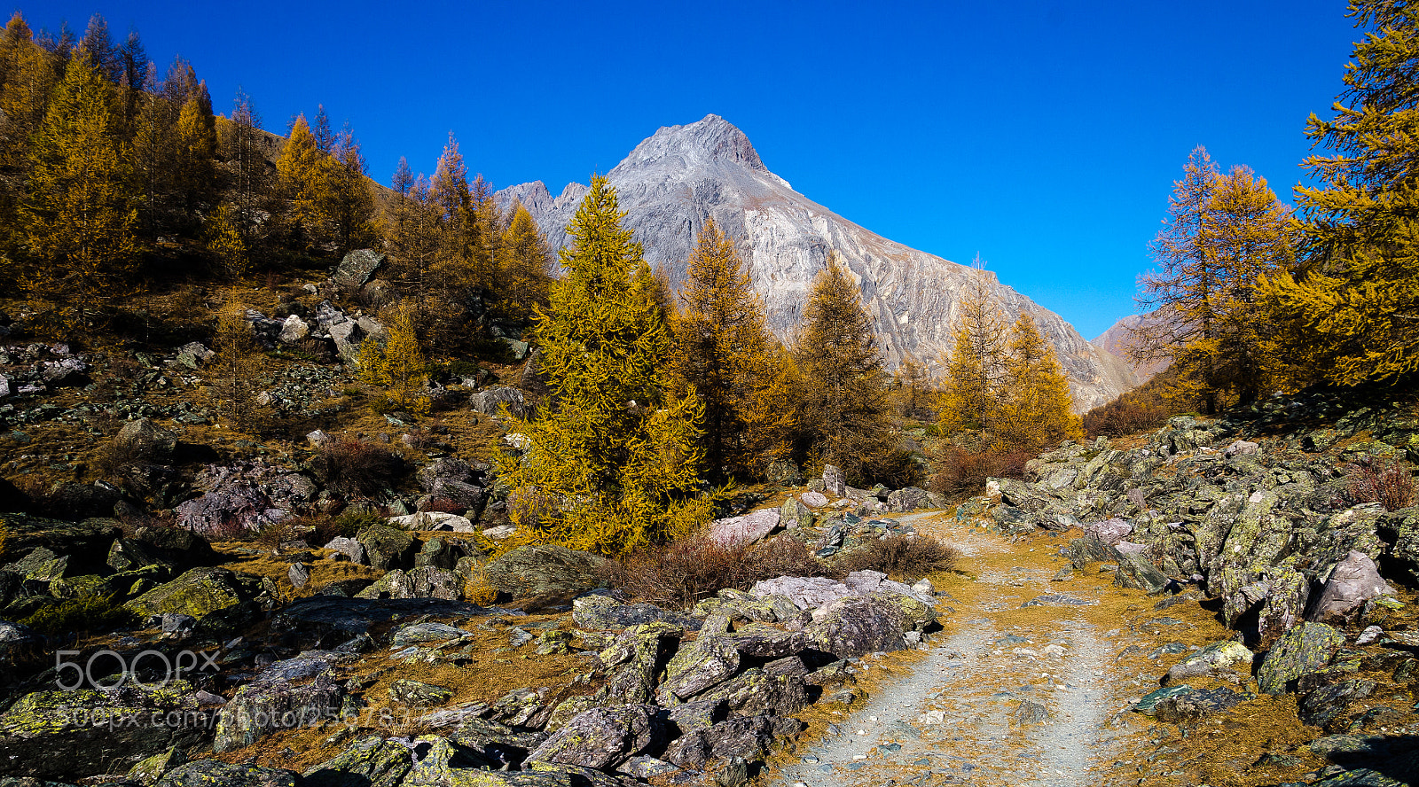 Nikon D7000 sample photo. Along the way () photography
