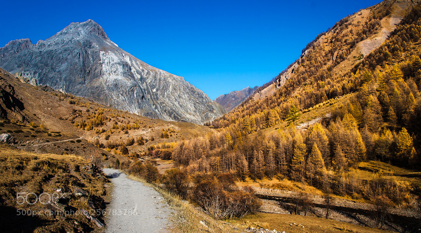 Nikon D7000 sample photo. Along the way () photography