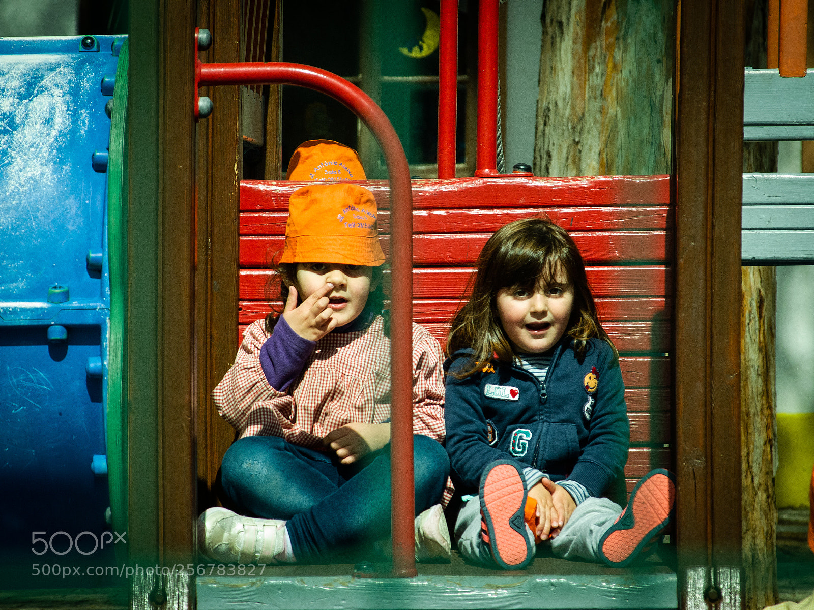 Olympus OM-D E-M10 II sample photo. Way too cute for photography