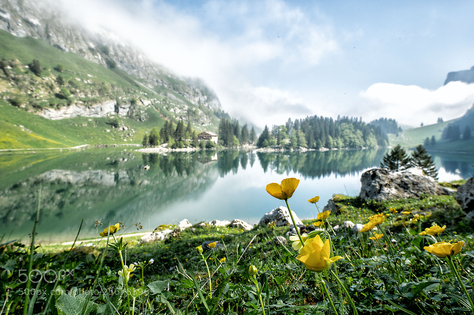 Sony a7R II sample photo. Seealpsee photography