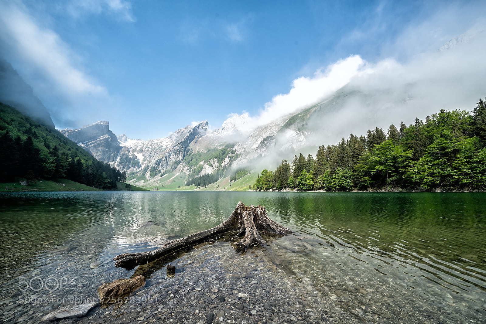 Sony a7R II sample photo. Seealpsee photography
