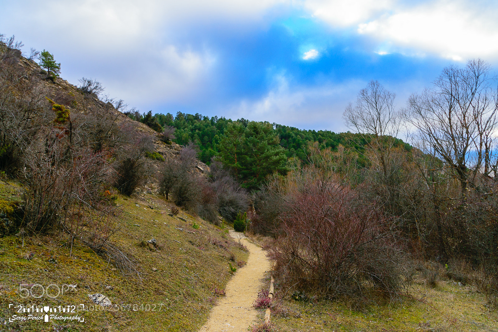 Nikon D3300 sample photo. Tragacete photography