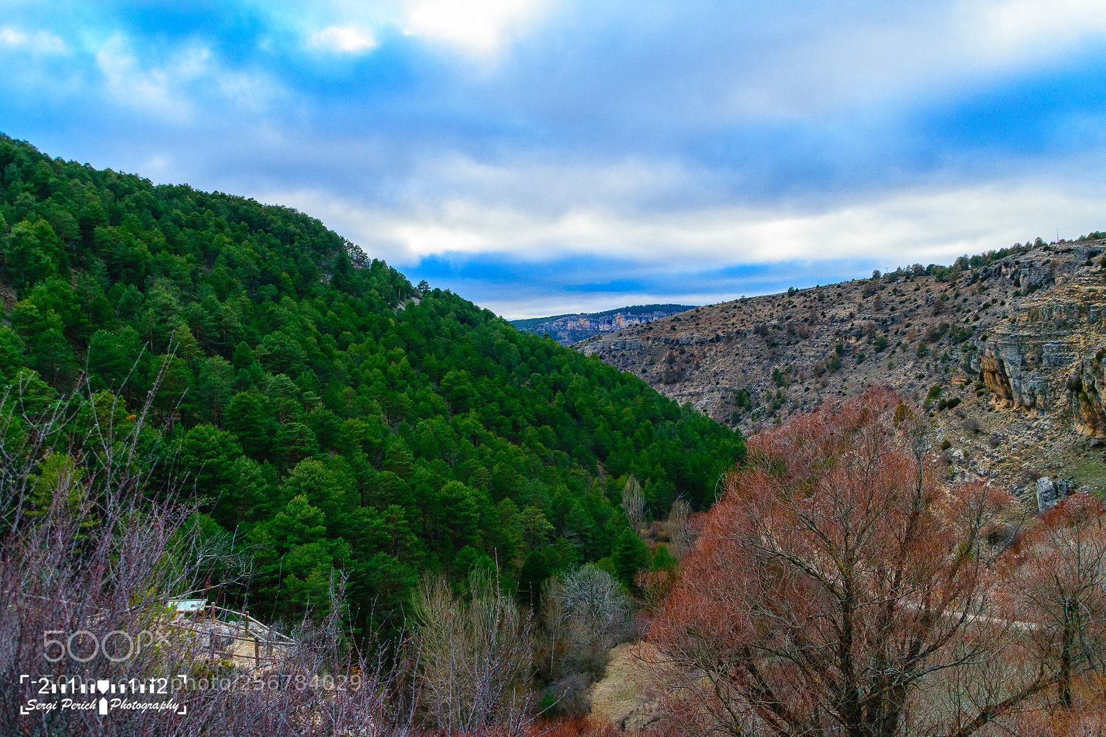 Nikon D3300 sample photo. Tragacete photography