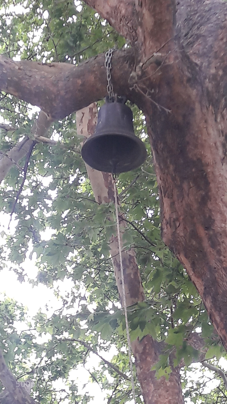 Samsung Galaxy A5(2016) sample photo. Untitled photography