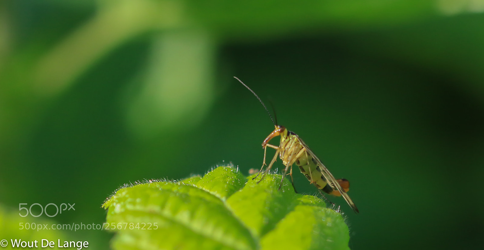 Canon EOS 7D Mark II sample photo. Untitled photography