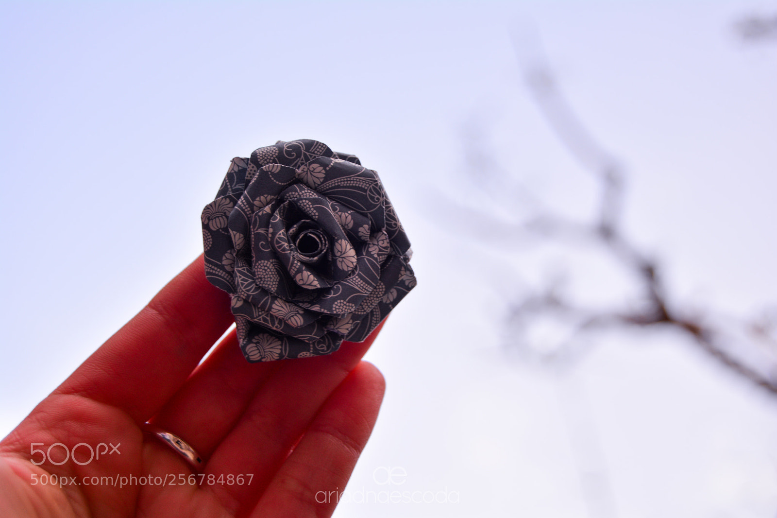 Nikon D5200 sample photo. Feli diada de sant photography