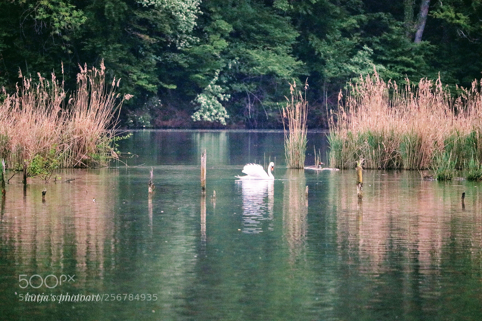 Canon EOS 80D sample photo. Morgenstunde am rhein photography