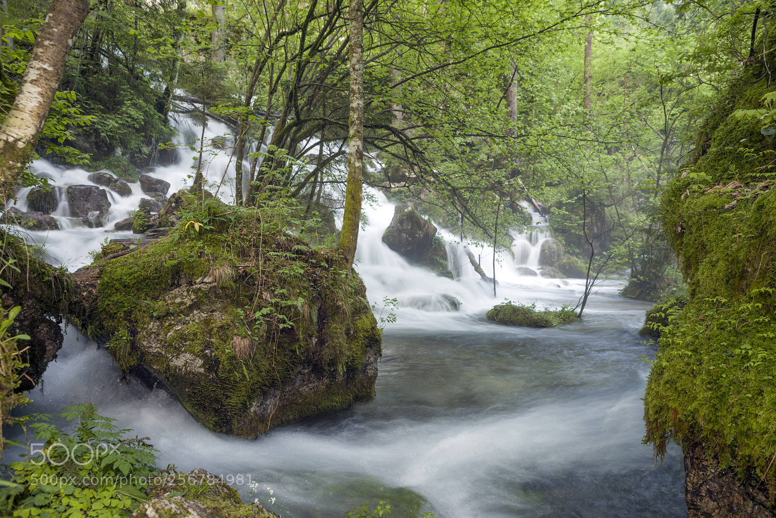 Nikon D750 sample photo. Spring photography