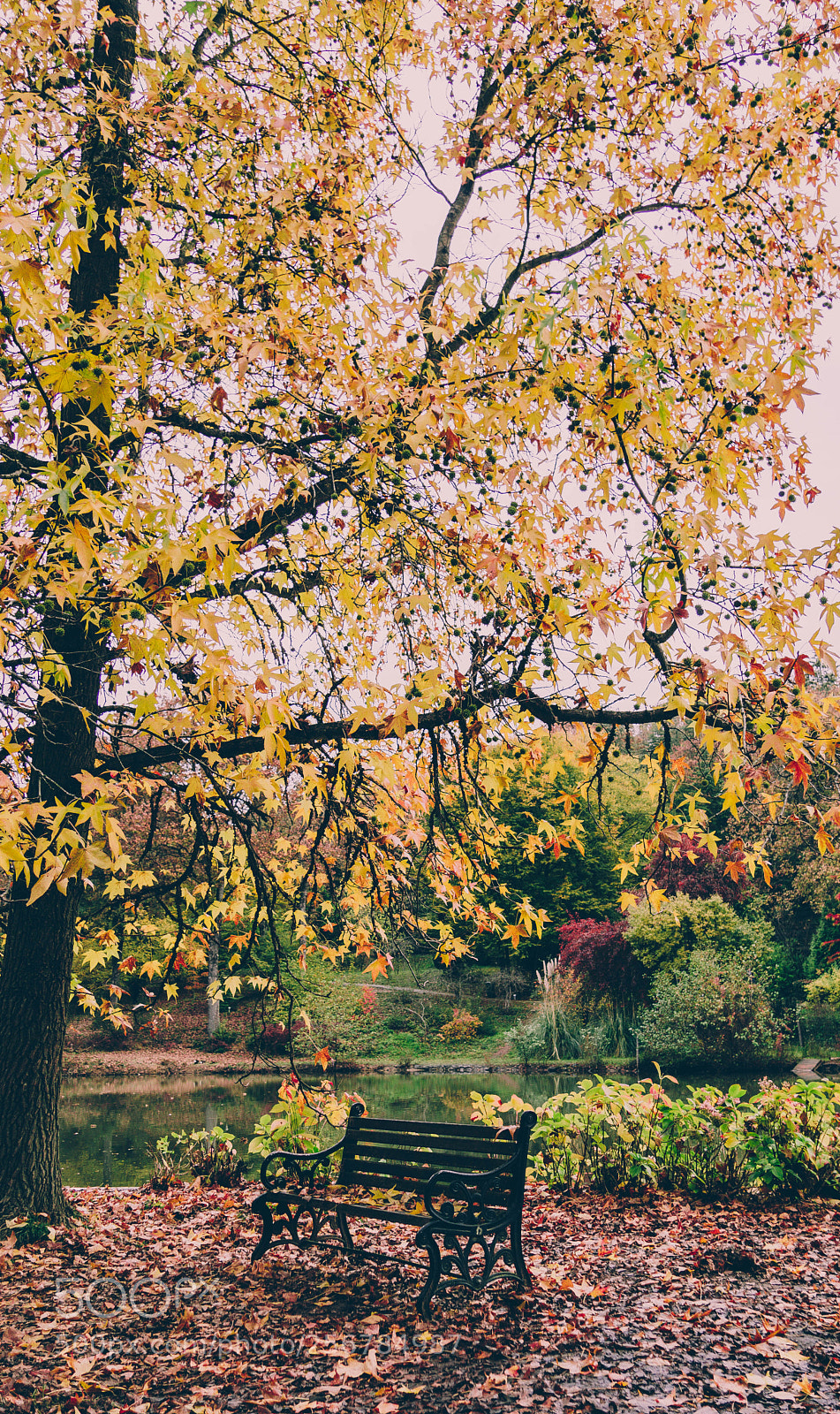 Sony a6000 sample photo. Autumn photography