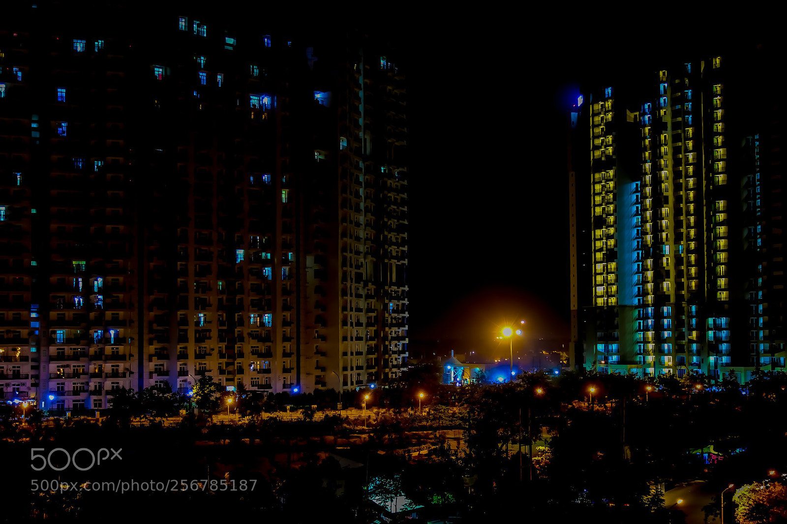 Canon EOS 6D sample photo. Untitled photography