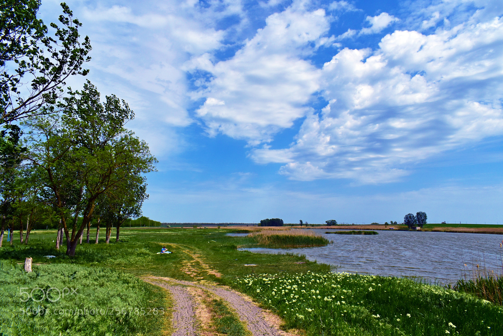 Nikon D5600 sample photo. Родные просторы photography