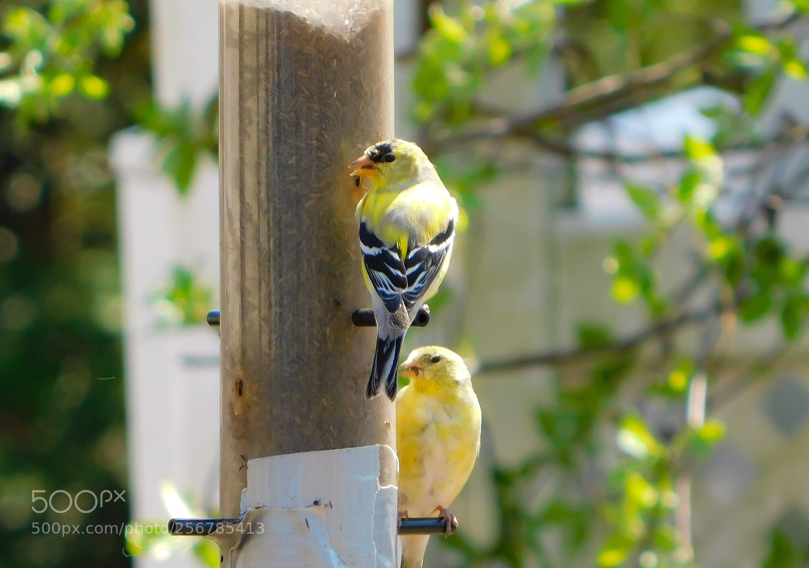 Nikon Coolpix B500 sample photo. Untitled photography