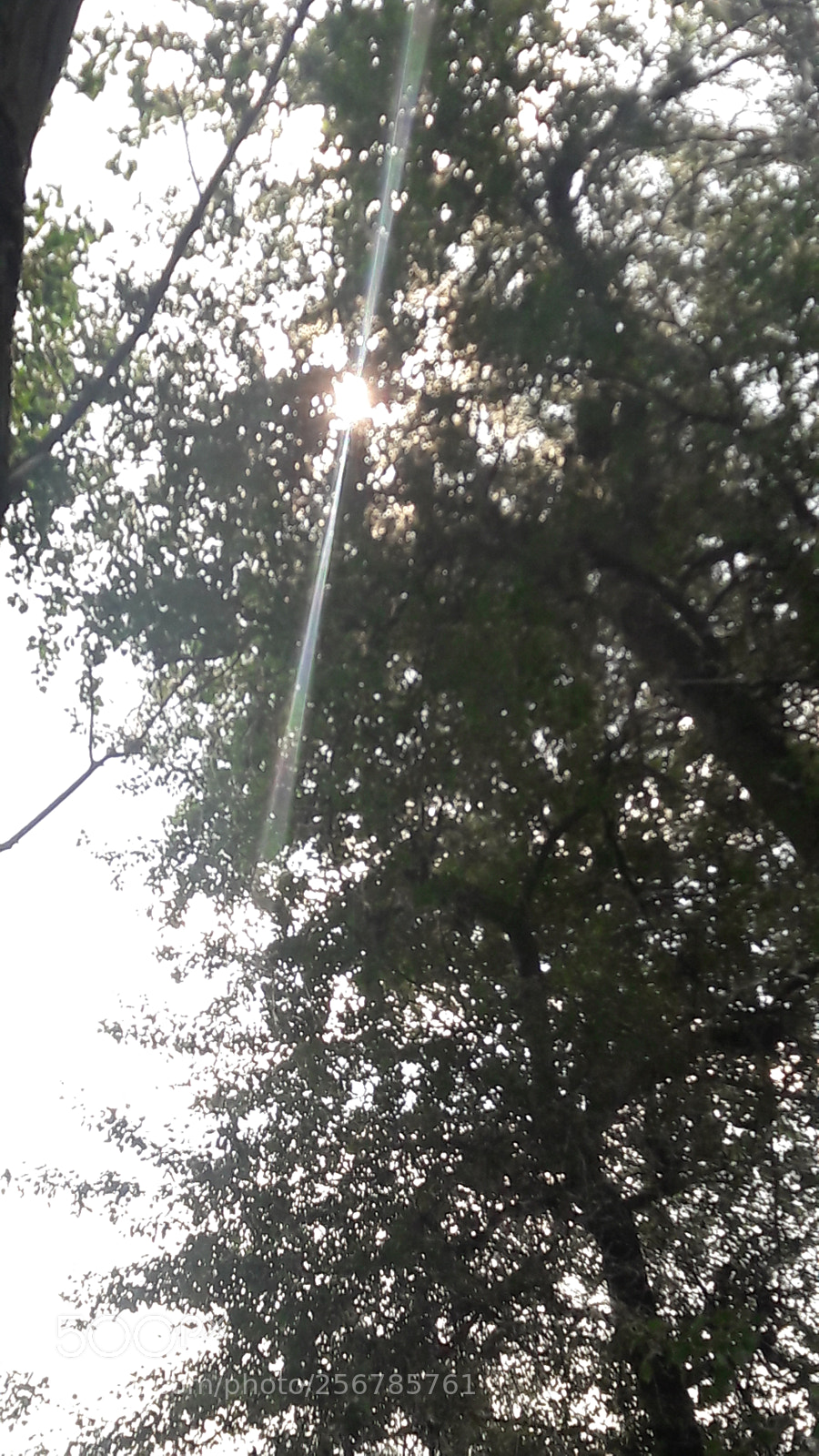 Samsung Galaxy A5(2016) sample photo. Untitled photography
