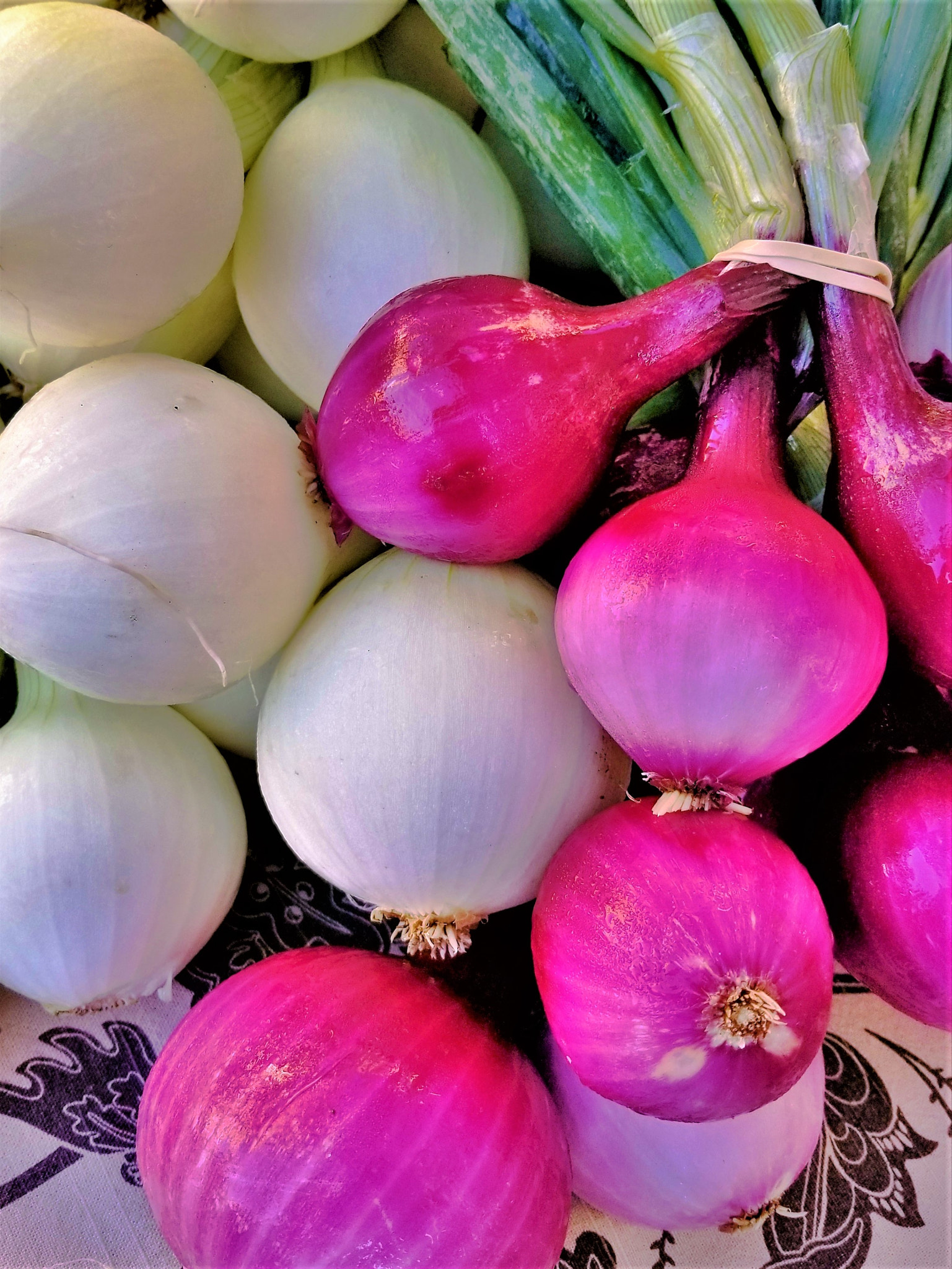 Samsung Galaxy S8 Active sample photo. Onions photography