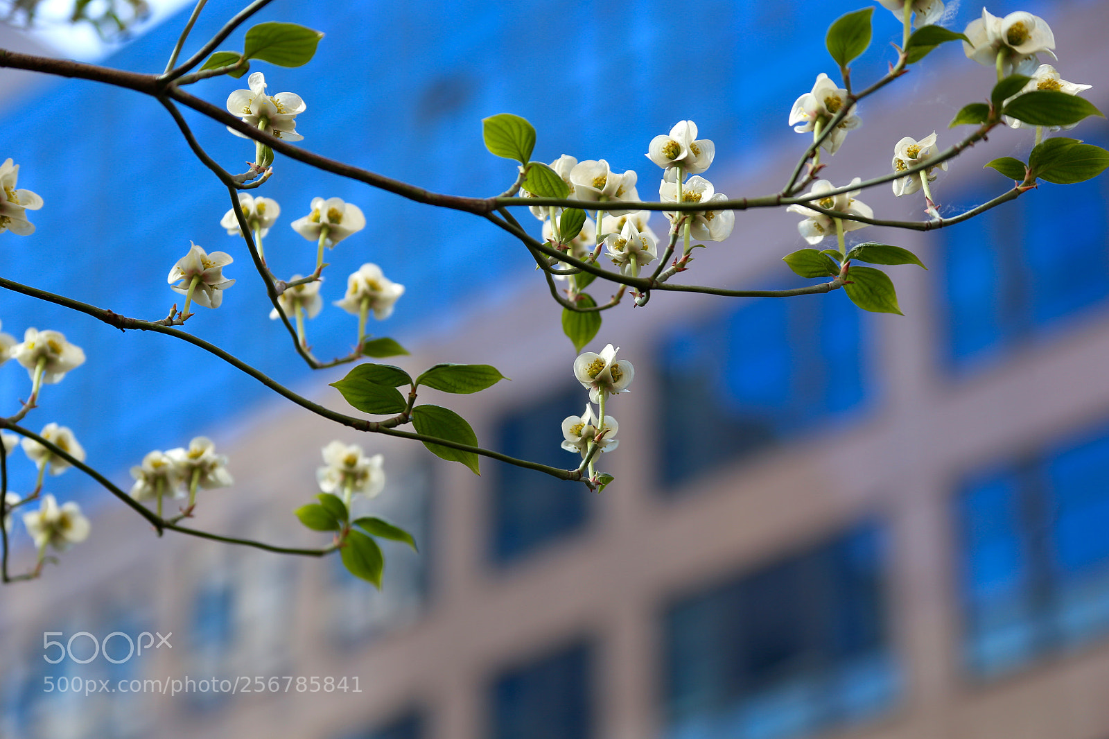 Canon EOS 6D sample photo. Berlin - mitte photography