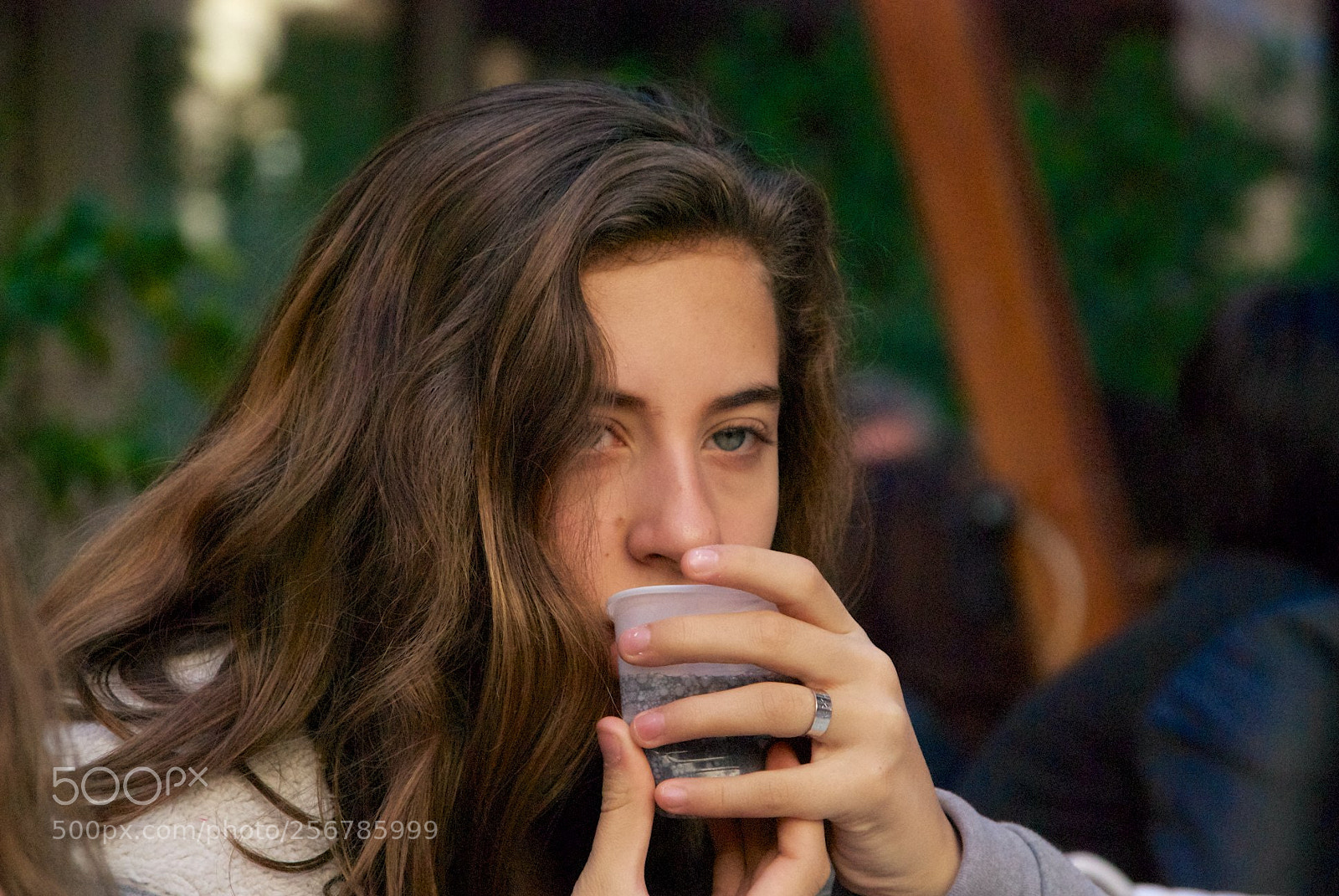 Nikon D60 sample photo. Version photography
