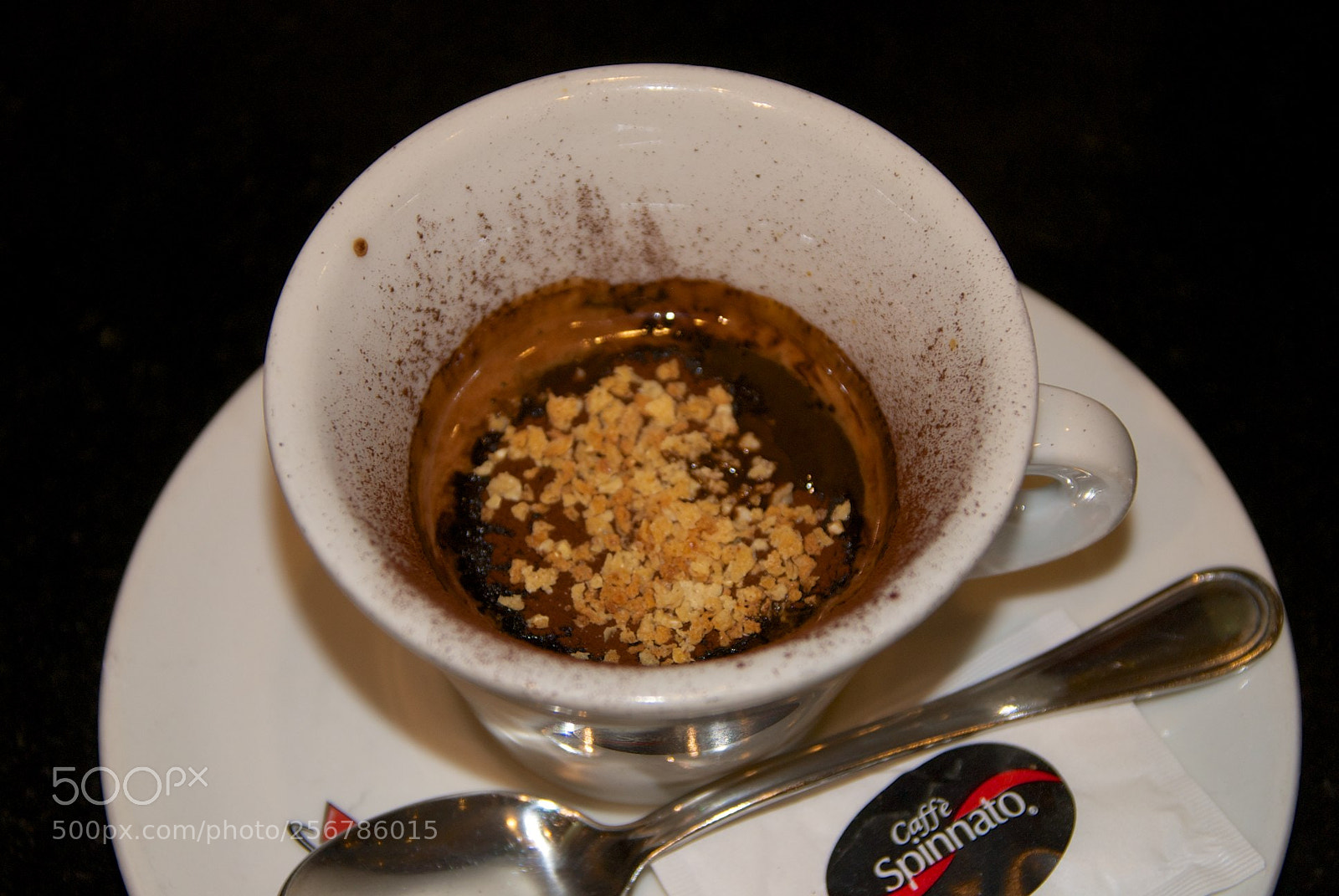 Nikon D60 sample photo. Version photography