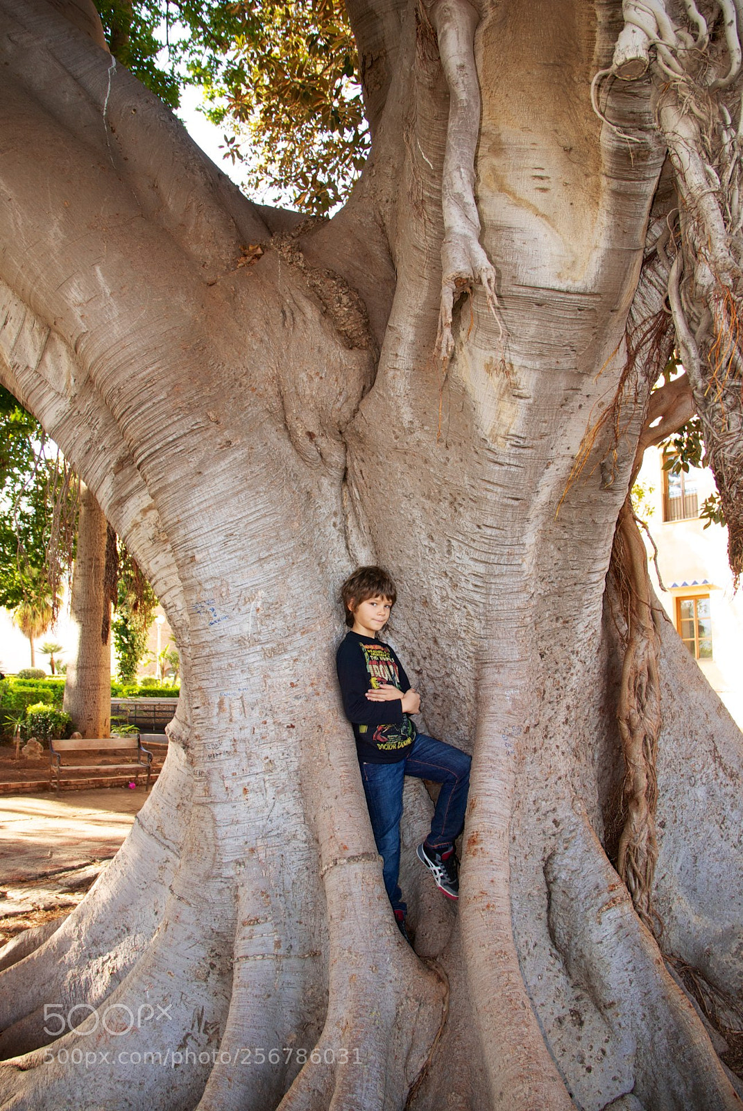 Nikon D60 sample photo. Version photography