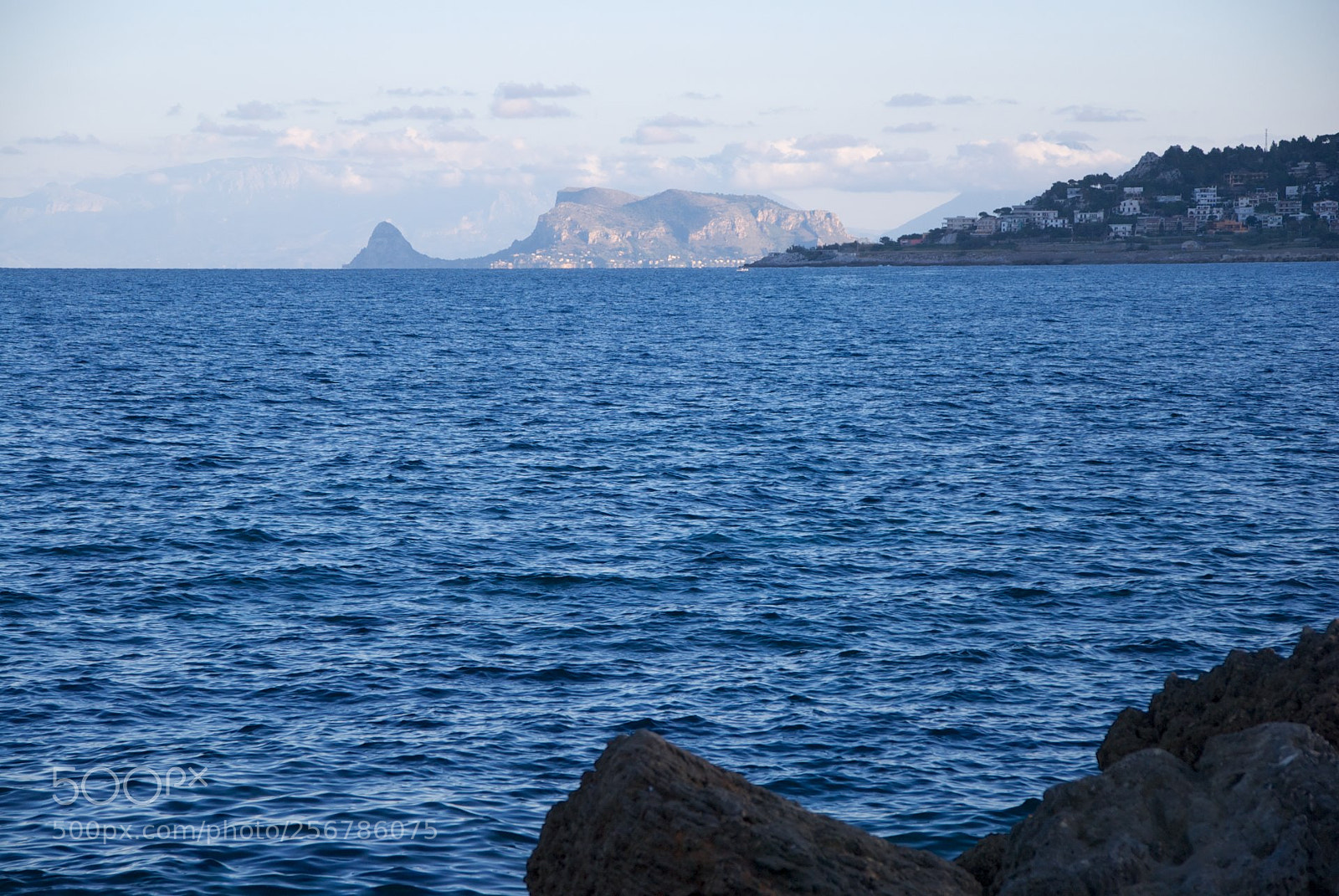 Nikon D60 sample photo. Version photography