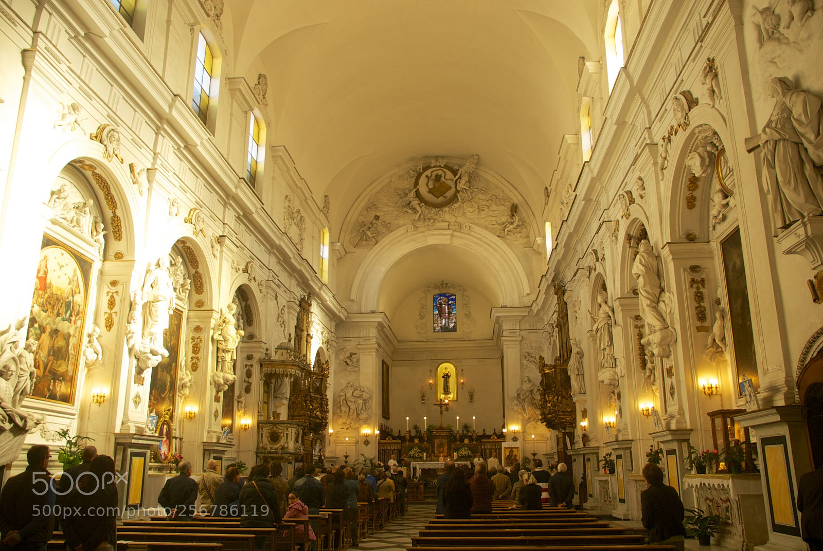 Nikon D60 sample photo. Version photography