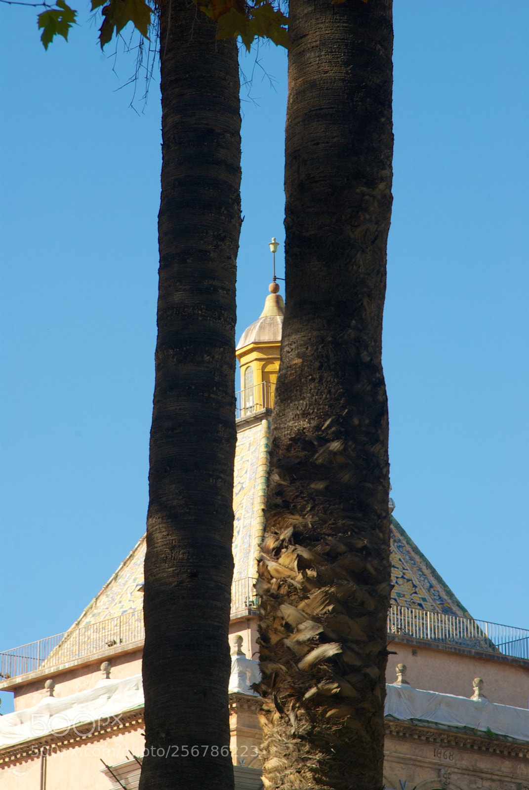 Nikon D60 sample photo. Version photography